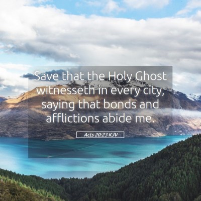 Picture 05 - Acts 20:23 KJV - Save that the Holy Ghost witnesseth in every - Bible Verse Picture