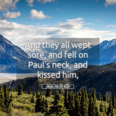 Picture 05 - Acts 20:37 KJV - And they all wept sore, and fell on Paul's neck, - Bible Verse Picture