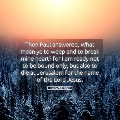Picture 05 - Acts 21:13 KJV - Then Paul answered, What mean ye to weep and to - Bible Verse Picture