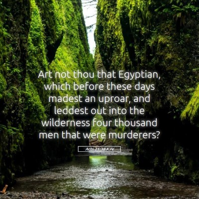 Picture 05 - Acts 21:38 KJV - Art not thou that Egyptian, which before these - Bible Verse Picture
