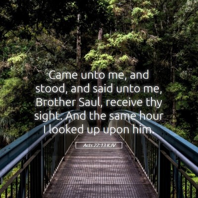 Picture 05 - Acts 22:13 KJV - Came unto me, and stood, and said unto me, - Bible Verse Picture