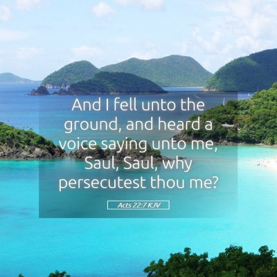 Picture 05 - Acts 22:7 KJV - And I fell unto the ground, and heard a voice - Bible Verse Picture
