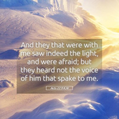 Picture 05 - Acts 22:9 KJV - And they that were with me saw indeed the light, - Bible Verse Picture