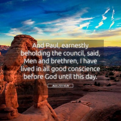 Picture 05 - Acts 23:1 KJV - And Paul, earnestly beholding the council, said, - Bible Verse Picture