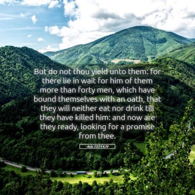 Picture 05 - Acts 23:21 KJV - But do not thou yield unto them: for there lie in - Bible Verse Picture