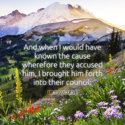 Picture 05 - Acts 23:28 KJV - And when I would have known the cause wherefore - Bible Verse Picture
