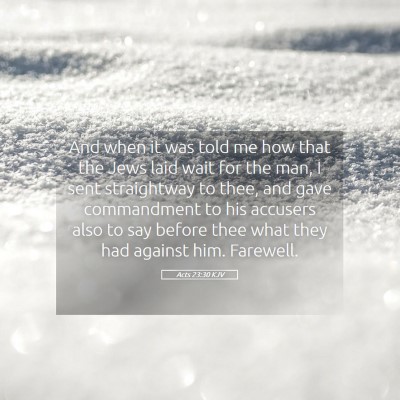 Picture 05 - Acts 23:30 KJV - And when it was told me how that the Jews laid - Bible Verse Picture