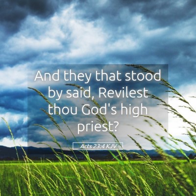 Picture 05 - Acts 23:4 KJV - And they that stood by said, Revilest thou God's - Bible Verse Picture