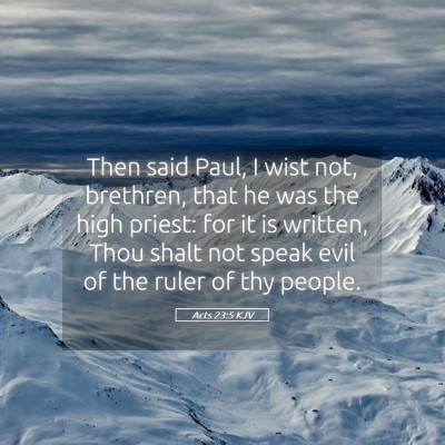 Picture 05 - Acts 23:5 KJV - Then said Paul, I wist not, brethren, that he was - Bible Verse Picture