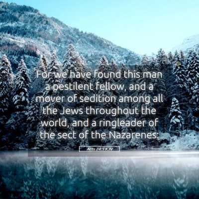 Picture 05 - Acts 24:5 KJV - For we have found this man a pestilent fellow, - Bible Verse Picture