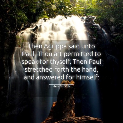 Picture 05 - Acts 26:1 KJV - Then Agrippa said unto Paul, Thou art permitted - Bible Verse Picture
