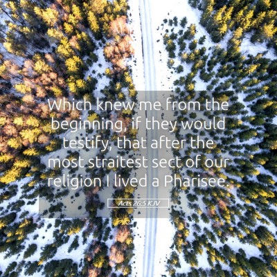 Picture 05 - Acts 26:5 KJV - Which knew me from the beginning, if they would - Bible Verse Picture
