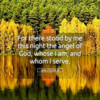 Picture 05 - Acts 27:23 KJV - For there stood by me this night the angel of - Bible Verse Picture