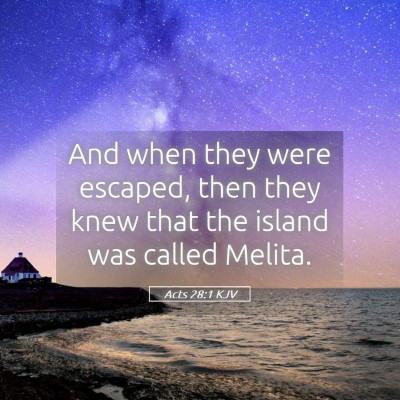 Picture 05 - Acts 28:1 KJV - And when they were escaped, then they knew that - Bible Verse Picture