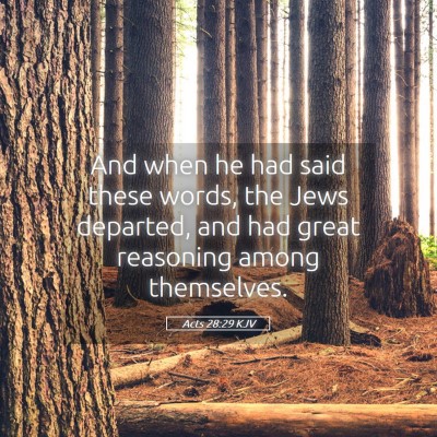 Picture 05 - Acts 28:29 KJV - And when he had said these words, the Jews - Bible Verse Picture