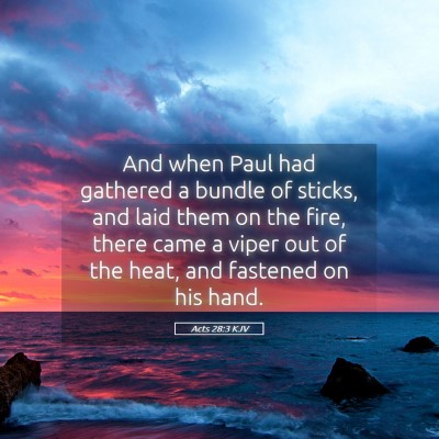 Picture 05 - Acts 28:3 KJV - And when Paul had gathered a bundle of sticks, - Bible Verse Picture