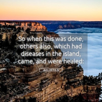 Picture 05 - Acts 28:9 KJV - So when this was done, others also, which had - Bible Verse Picture