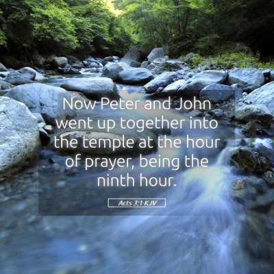 Picture 05 - Acts 3:1 KJV - Now Peter and John went up together into the - Bible Verse Picture