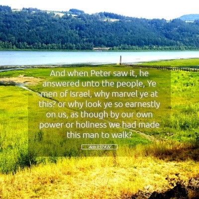 Picture 05 - Acts 3:12 KJV - And when Peter saw it, he answered unto the - Bible Verse Picture