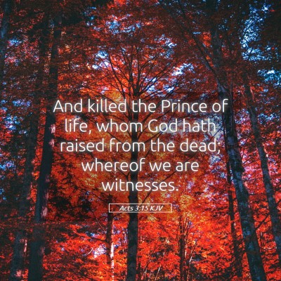 Picture 05 - Acts 3:15 KJV - And killed the Prince of life, whom God hath - Bible Verse Picture
