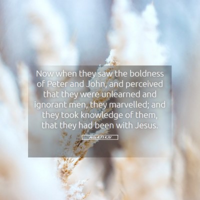 Picture 05 - Acts 4:13 KJV - Now when they saw the boldness of Peter and John, - Bible Verse Picture