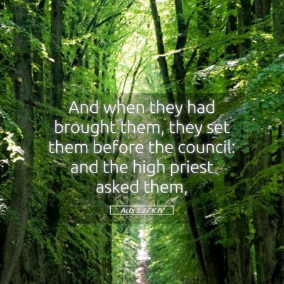 Picture 05 - Acts 5:27 KJV - And when they had brought them, they set them - Bible Verse Picture