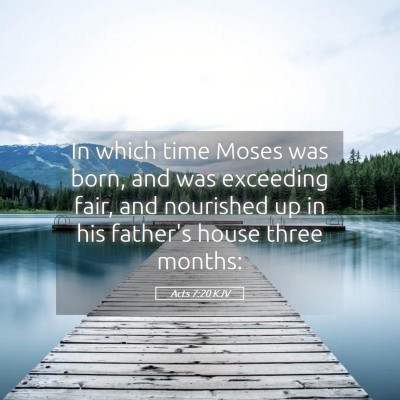 Picture 05 - Acts 7:20 KJV - In which time Moses was born, and was exceeding - Bible Verse Picture