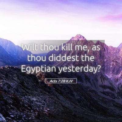 Picture 05 - Acts 7:28 KJV - Wilt thou kill me, as thou diddest the Egyptian - Bible Verse Picture