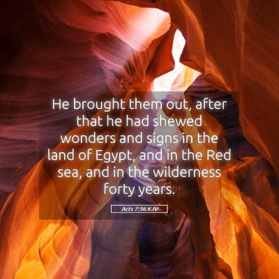 Picture 05 - Acts 7:36 KJV - He brought them out, after that he had shewed - Bible Verse Picture