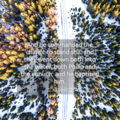 Picture 05 - Acts 8:38 KJV - And he commanded the chariot to stand still: and - Bible Verse Picture
