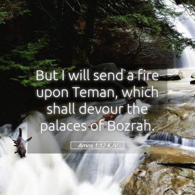 Picture 05 - Amos 1:12 KJV - But I will send a fire upon Teman, which shall - Bible Verse Picture