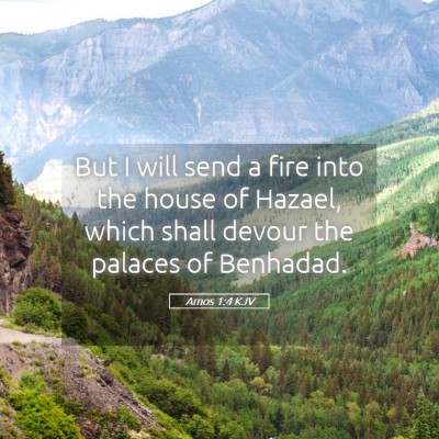 Picture 05 - Amos 1:4 KJV - But I will send a fire into the house of Hazael, - Bible Verse Picture