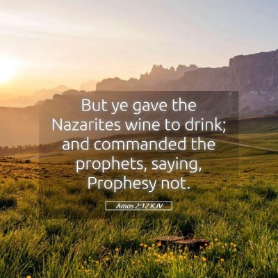 Picture 05 - Amos 2:12 KJV - But ye gave the Nazarites wine to drink; and - Bible Verse Picture