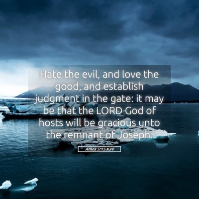 Picture 05 - Amos 5:15 KJV - Hate the evil, and love the good, and establish - Bible Verse Picture