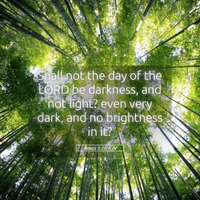 Picture 05 - Amos 5:20 KJV - Shall not the day of the LORD be darkness, and - Bible Verse Picture