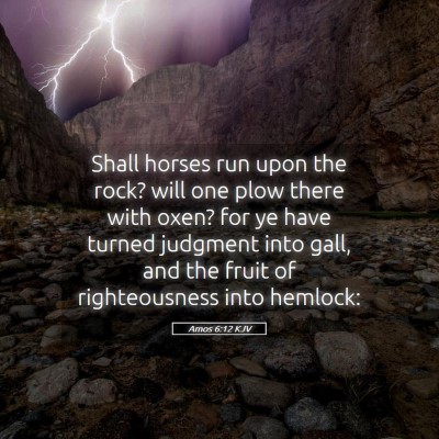 Picture 05 - Amos 6:12 KJV - Shall horses run upon the rock? will one plow - Bible Verse Picture