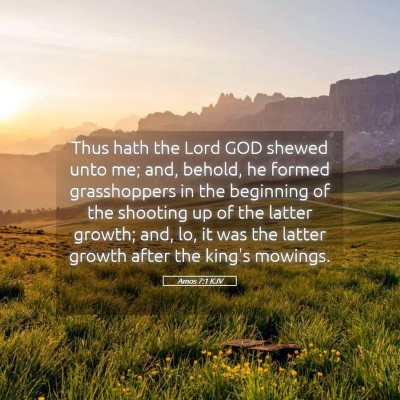 Picture 05 - Amos 7:1 KJV - Thus hath the Lord GOD shewed unto me; and, - Bible Verse Picture