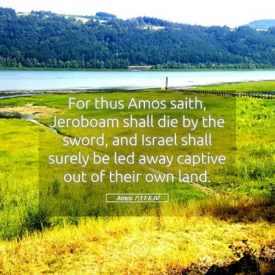 Picture 05 - Amos 7:11 KJV - For thus Amos saith, Jeroboam shall die by the - Bible Verse Picture