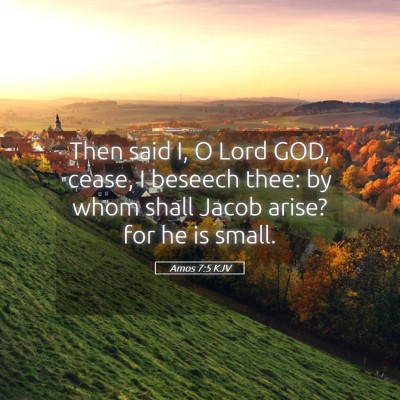 Picture 05 - Amos 7:5 KJV - Then said I, O Lord GOD, cease, I beseech thee: - Bible Verse Picture
