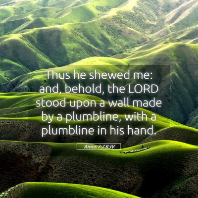 Picture 05 - Amos 7:7 KJV - Thus he shewed me: and, behold, the LORD stood - Bible Verse Picture