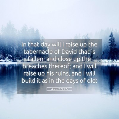 Picture 05 - Amos 9:11 KJV - In that day will I raise up the tabernacle of - Bible Verse Picture