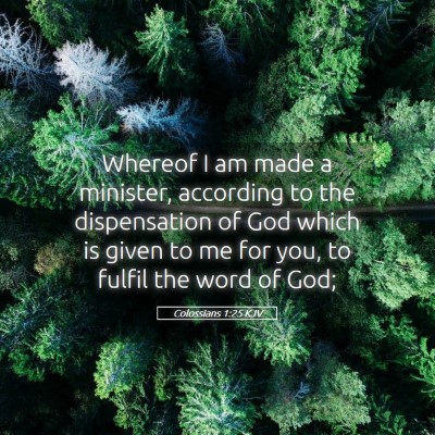 Picture 05 - Colossians 1:25 KJV - Whereof I am made a minister, according to the - Bible Verse Picture
