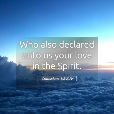 Picture 05 - Colossians 1:8 KJV - Who also declared unto us your love in the - Bible Verse Picture