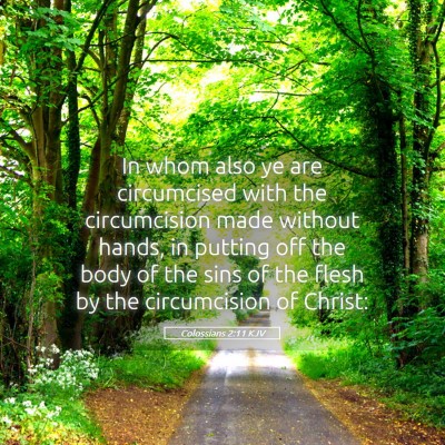 Picture 05 - Colossians 2:11 KJV - In whom also ye are circumcised with the - Bible Verse Picture