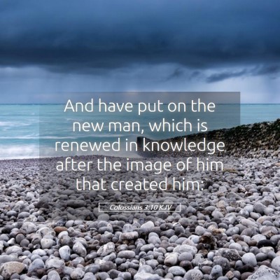 Picture 05 - Colossians 3:10 KJV - And have put on the new man, which is renewed in - Bible Verse Picture