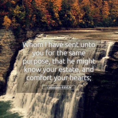 Picture 05 - Colossians 4:8 KJV - Whom I have sent unto you for the same purpose, - Bible Verse Picture