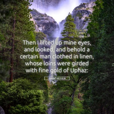 Picture 05 - Daniel 10:5 KJV - Then I lifted up mine eyes, and looked, and - Bible Verse Picture