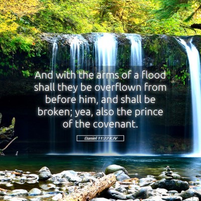 Picture 05 - Daniel 11:22 KJV - And with the arms of a flood shall they be - Bible Verse Picture