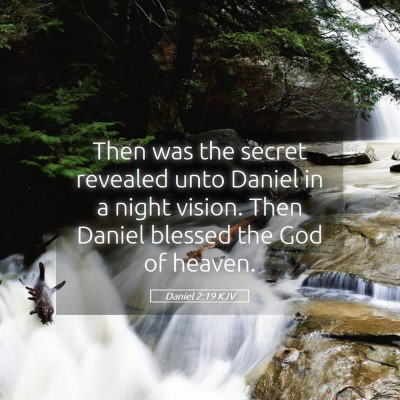 Picture 05 - Daniel 2:19 KJV - Then was the secret revealed unto Daniel in a - Bible Verse Picture