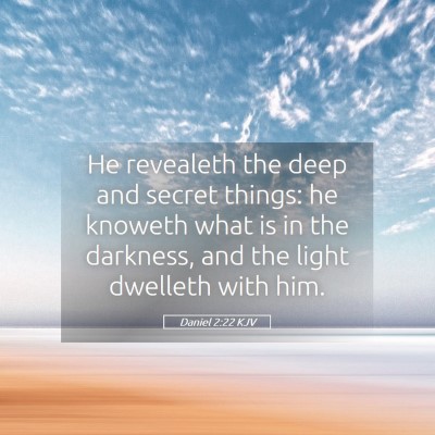 Picture 05 - Daniel 2:22 KJV - He revealeth the deep and secret things: he - Bible Verse Picture
